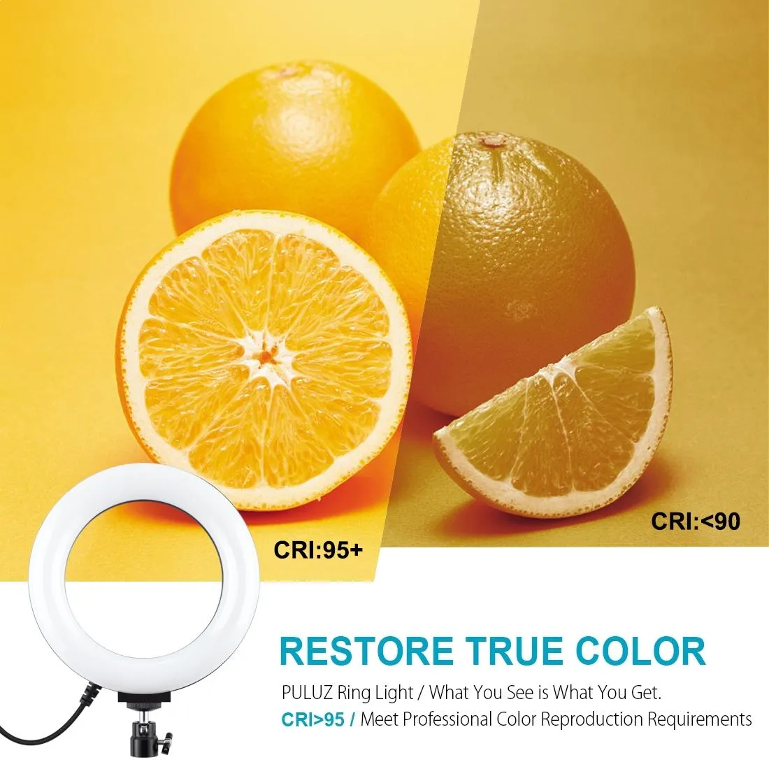 10 Mode USB LED Ring Light with Tripod & Ball Head | 6.2-Inch Diameter | Black