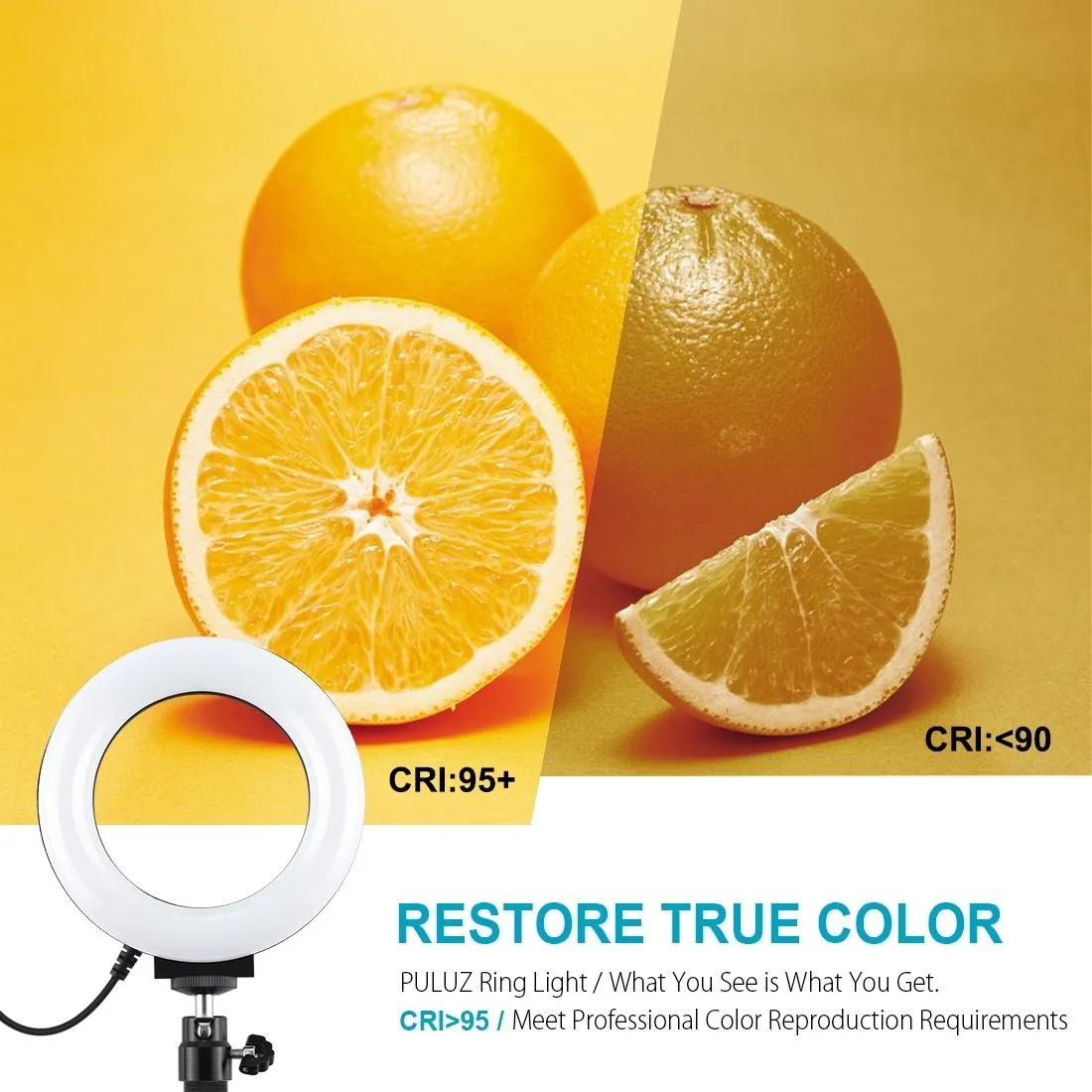 10 Mode USB LED Ring Light with Tripod Mount & Cold Shoe Ball Head | 4.7-Inch Diameter