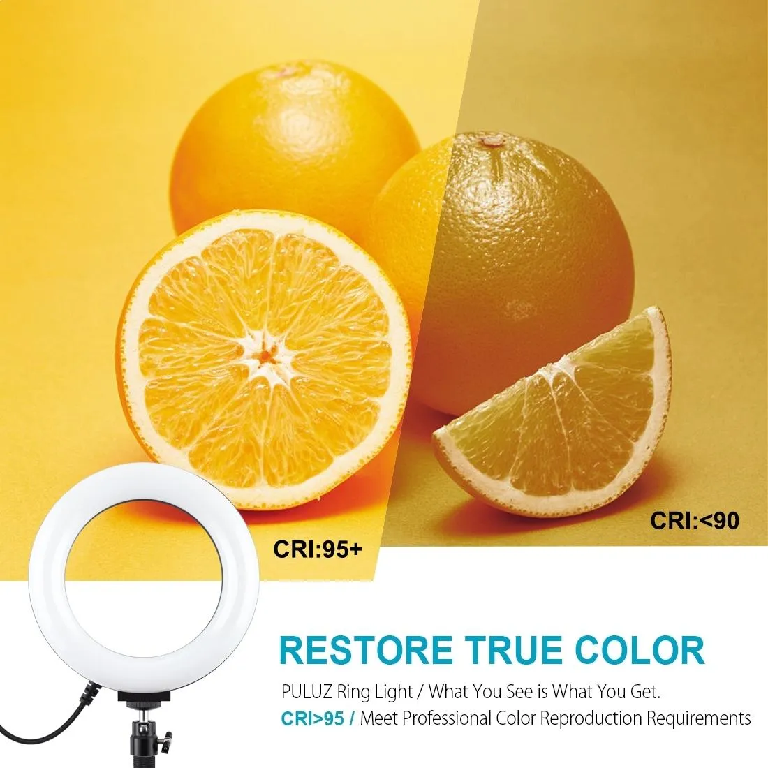 6.2" USB LED Ring Light with 10 Modes & Desktop Tripod Mount | Black