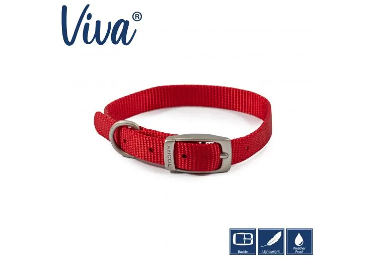 Ancol - Viva Nylon Buckle Collar - Lime - Size 2 (26-31cm)
