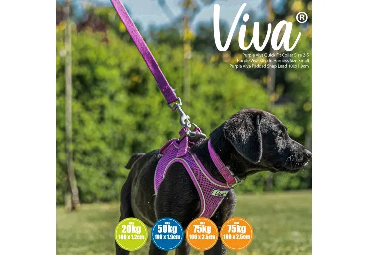 Ancol - Viva Nylon Padded Snap Lead - Lime - 100cm x 25mm (Max 75kg)