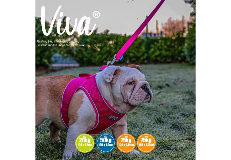 Ancol - Viva Nylon Padded Snap Lead - Lime - 100cm x 25mm (Max 75kg)