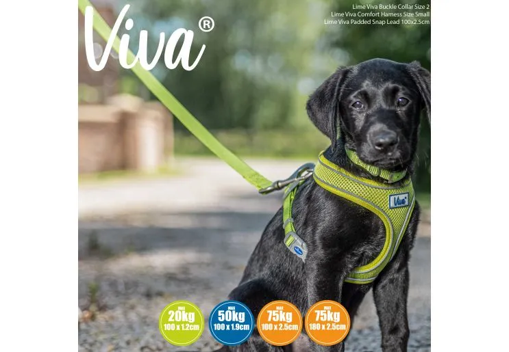 Ancol - Viva Nylon Padded Snap Lead - Lime - 100cm x 25mm (Max 75kg)