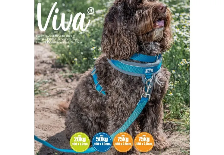 Ancol - Viva Nylon Padded Snap Lead - Lime - 100cm x 25mm (Max 75kg)