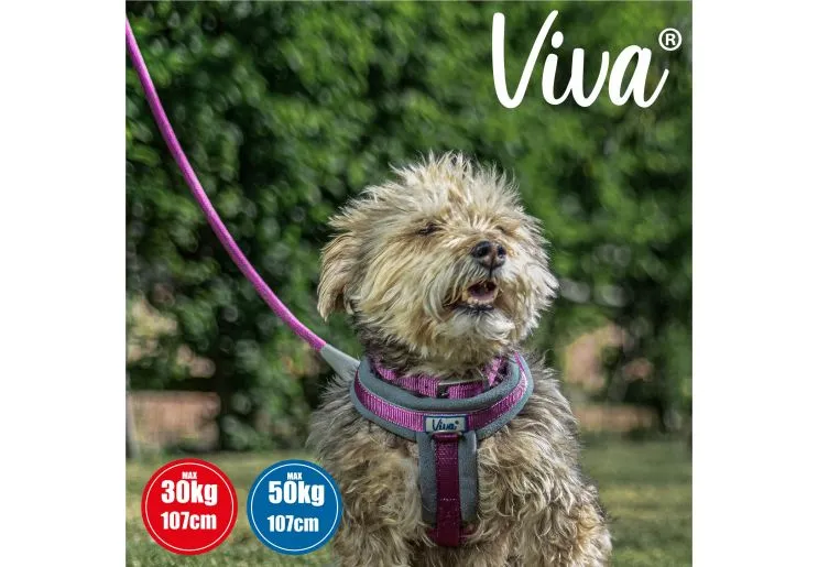 Ancol - Viva Nylon Reflective Rope Snap Lead - Pink - 120cm x 12mm (Max50kg)