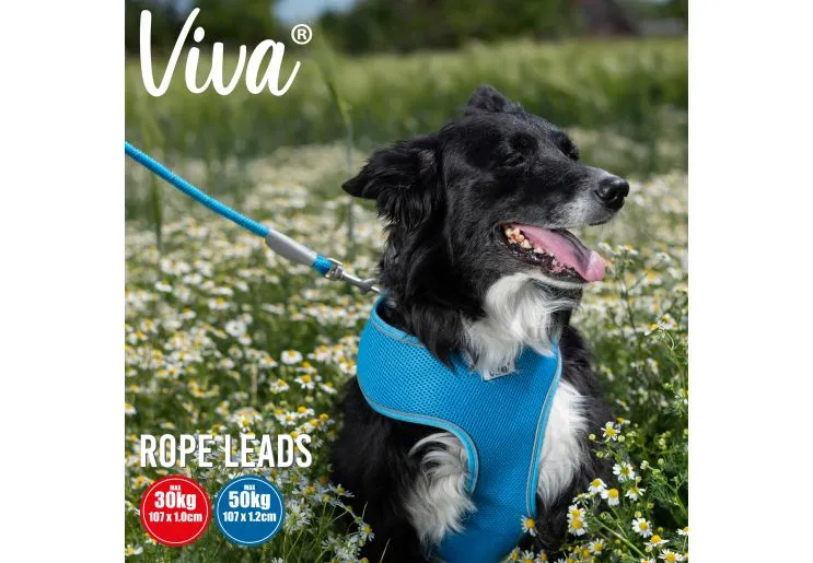 Ancol - Viva Nylon Reflective Rope Snap Lead - Pink - 120cm x 12mm (Max50kg)