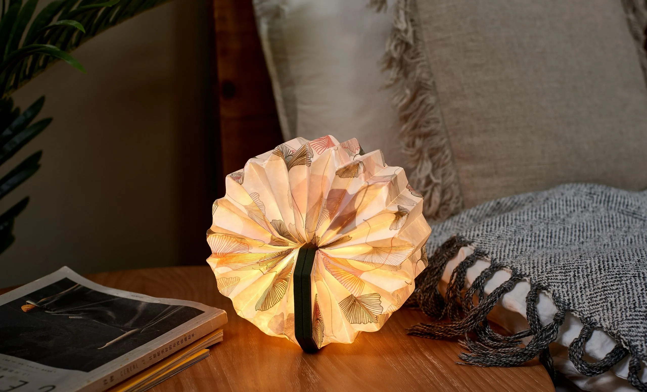 Gingko - Velvet Cover Accordion - Small LED Light 006