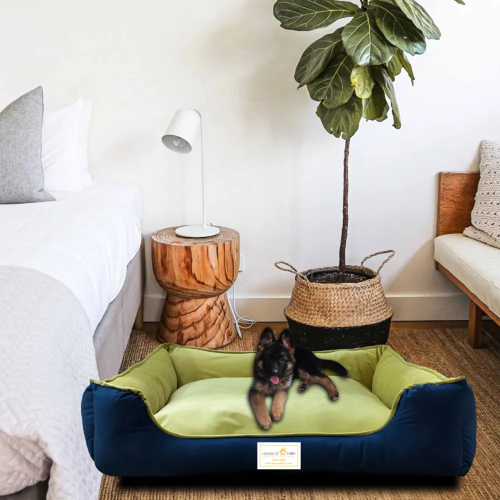House of Furry Turkish Velvet Bolster Oliver Bed for Dogs and Cats (Multicolor)
